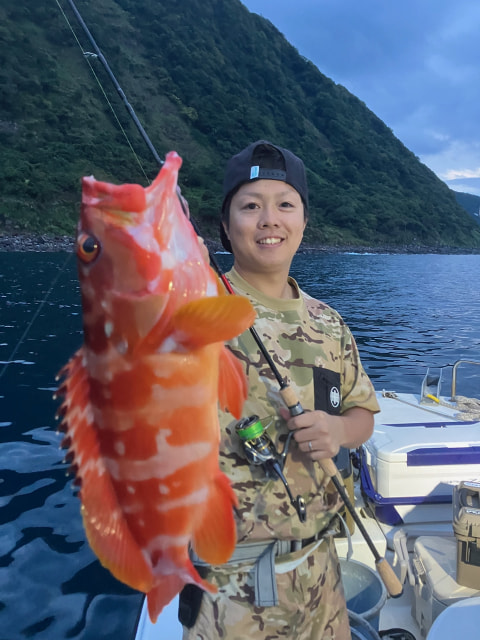 西伊豆側沿岸で釣れた魚