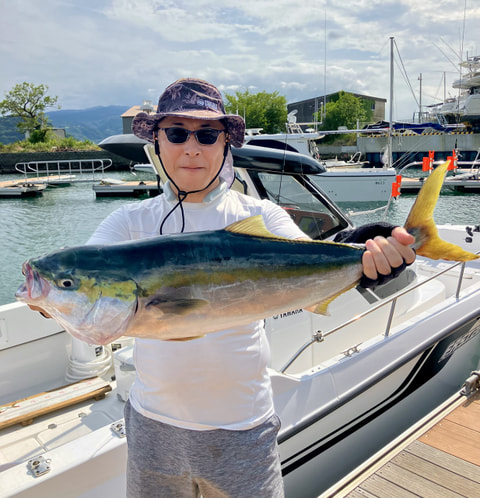 淡島で釣れた魚