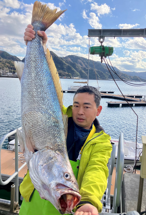沼津港沖で釣れた魚