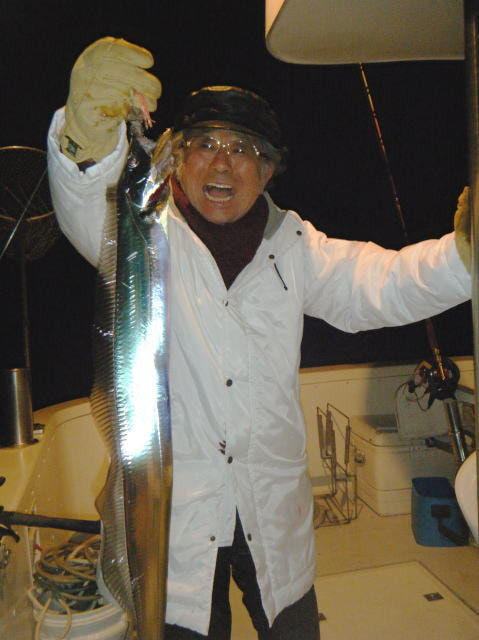ムギイカ/大瀬、タチウオ/千本沖で釣れた魚