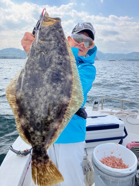 ワラサ根沖、静浦沖で釣れた魚