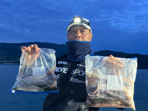 足保沖で釣れた魚