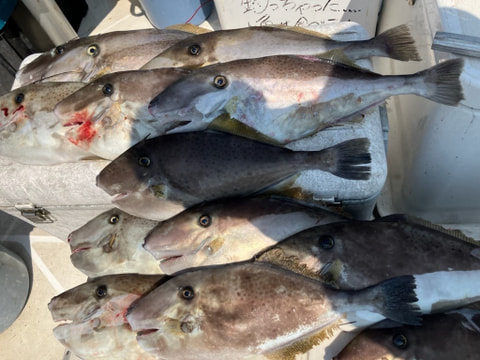釣れた魚