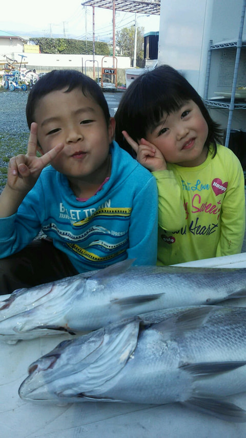 大久保の鼻付近水深65m、千本浜沖水深100mで釣れた魚