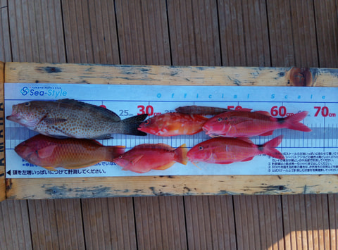 淡島・ワラサ根で釣れた魚