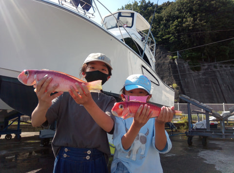 大久保の鼻で釣れた魚